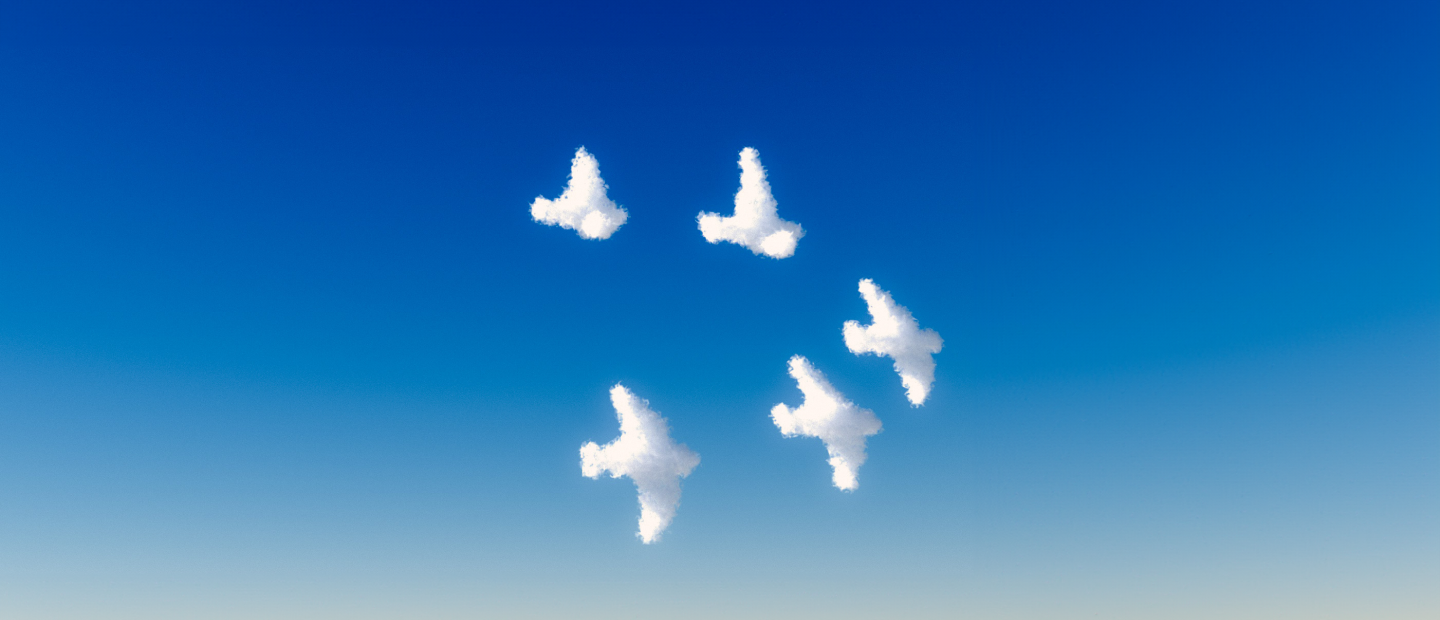 clouds in the shape of birds flying