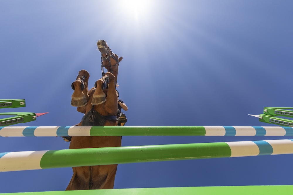 Horsejump