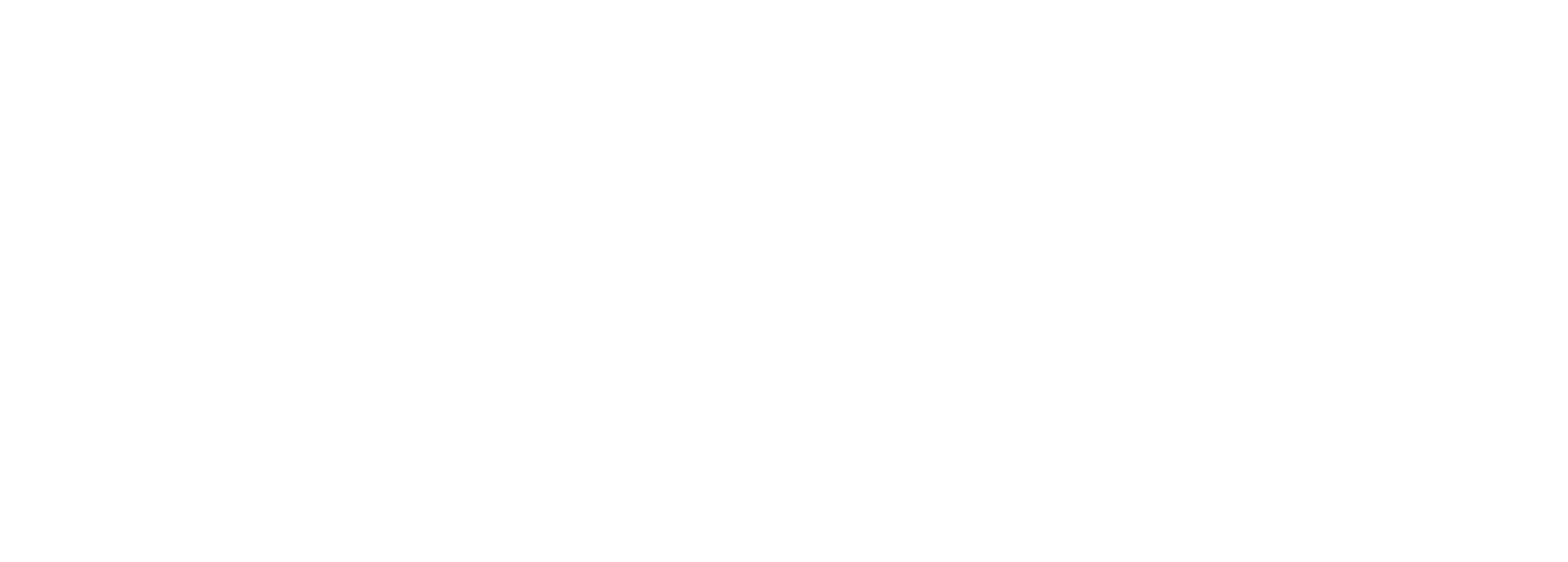 Skyscanner_Logo_Wordmarque_White_RGB